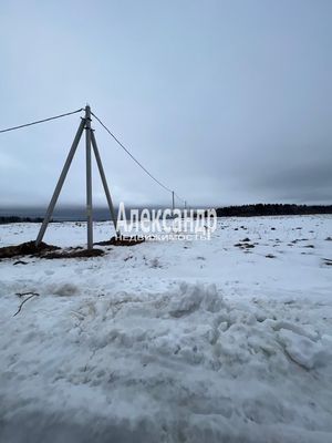 Объект по адресу Москва, Заповедное тер. СНТ 