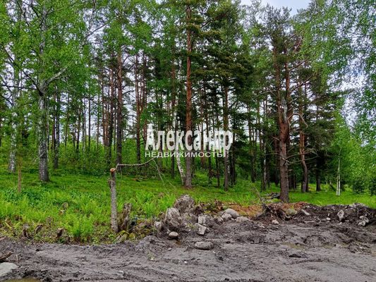 Объект по адресу Москва, Финская ул 