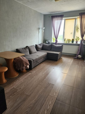 Объект по адресу Санкт-Петербург г, Красносельское (Горелово) ш, д. 54