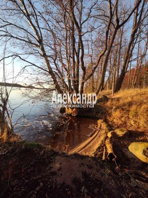 Объект по адресу Ленинградская обл, Ломоносовский р-н, Шепелево д, Ветеранов ул, д. 2С