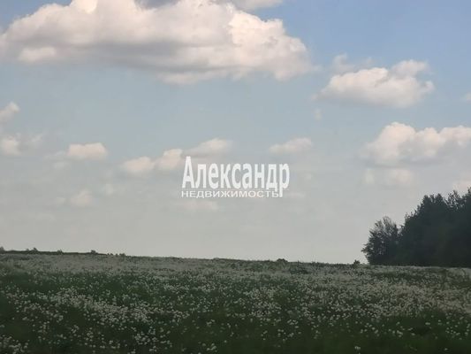 Объект по адресу Москва, Ромашки п 