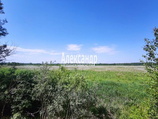 Объект по адресу Москва, Ромашки п 
