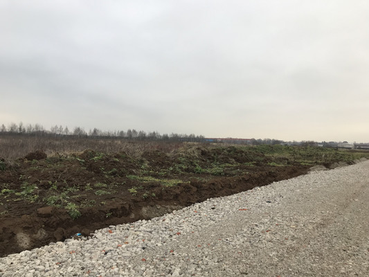 Объект по адресу Москва, Патрикеево д 