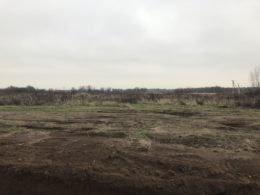 Объект по адресу Москва, Патрикеево д 