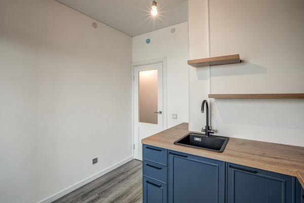 Объект по адресу Санкт-Петербург г, Дальневосточный пр-кт, д. 19к1