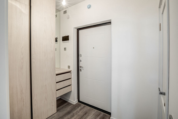 Объект по адресу Санкт-Петербург г, Дальневосточный пр-кт, д. 19к1