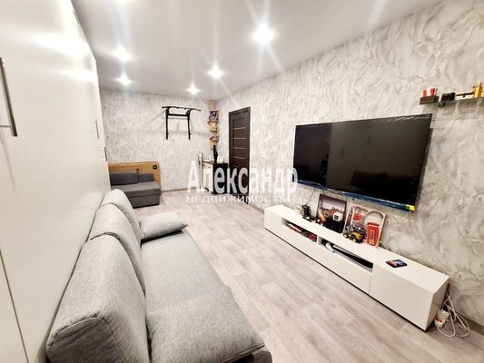 Объект по адресу Санкт-Петербург г, Светлановский пр-кт, д. 109к1