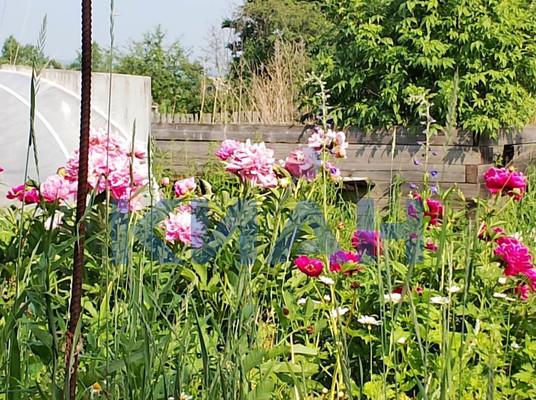 Объект по адресу Москва, Тартат п 