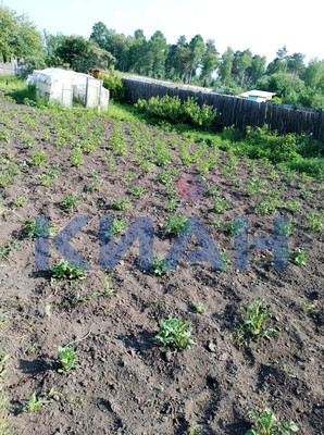 Объект по адресу Москва, Тартат п 