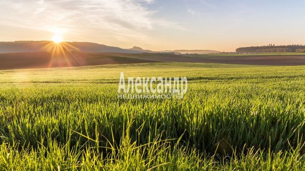 Объект по адресу Санкт-Петербург г, Невский пр-кт, д. 88