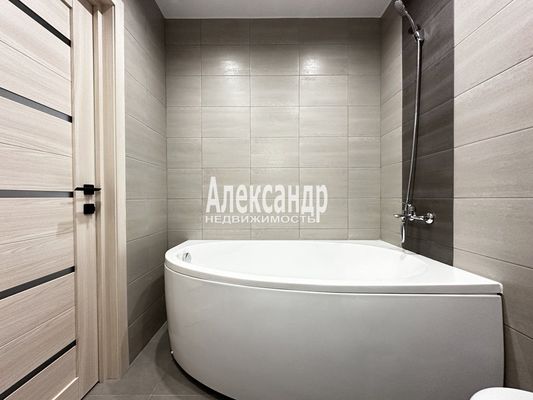 Объект по адресу Санкт-Петербург г, Заневский пр-кт, д. 42