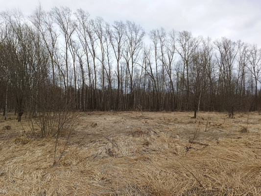 Объект по адресу Москва, Никитское с 