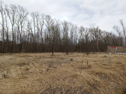 Объект по адресу Москва, Никитское с 