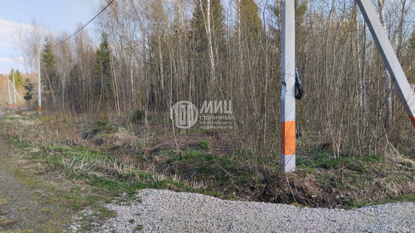 Объект по адресу Москва г, Киевский п, Станции Мачихино п, СНТ Берендей тер