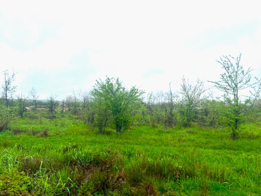 Объект по адресу Краснодарский край, Апшеронский р-н, Ковыльная ул