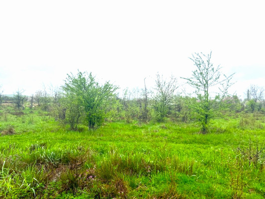 Объект по адресу Краснодарский край, Апшеронский р-н, Ковыльная ул