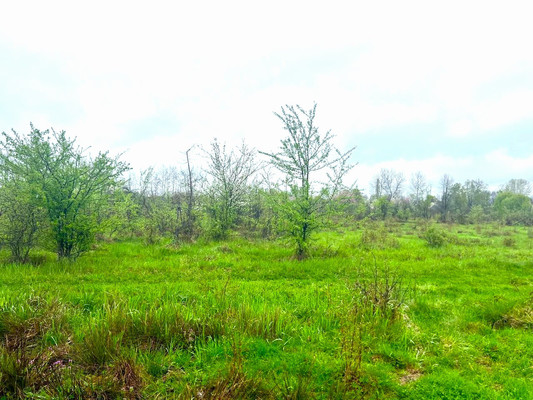 Объект по адресу Краснодарский край, Апшеронский р-н, Ковыльная ул