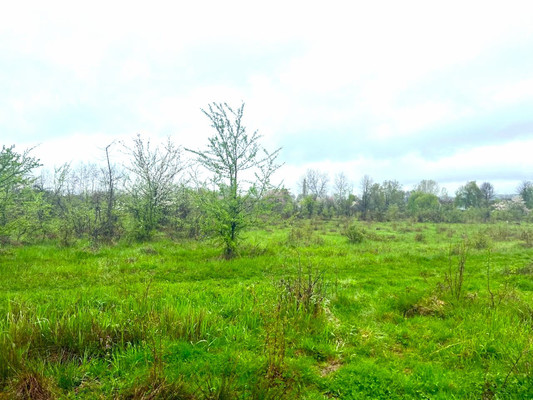 Объект по адресу Краснодарский край, Апшеронский р-н, Ковыльная ул