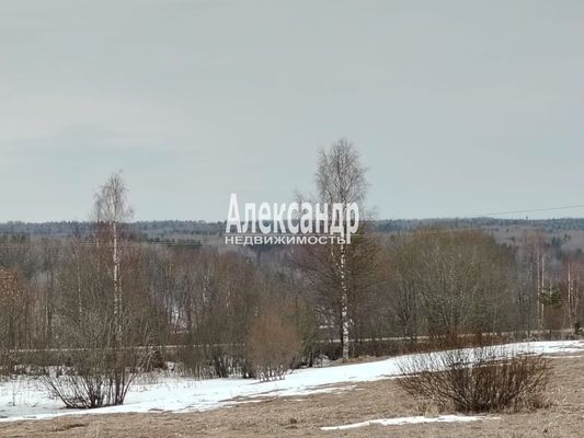 Объект по адресу Москва, Мятусово д 