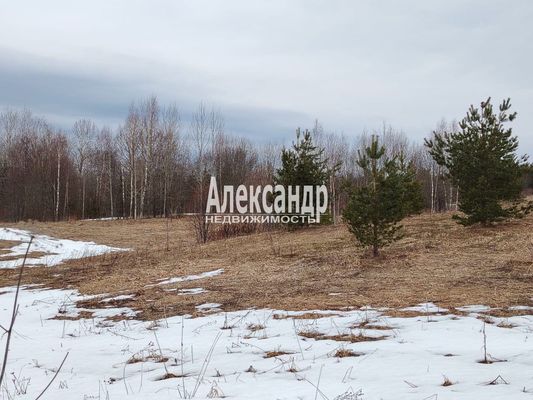 Объект по адресу Москва, Мятусово д 