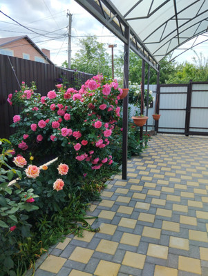 Объект по адресу Краснодарский край, Дружба отделение 1 снт, Главный проезд, д. 28