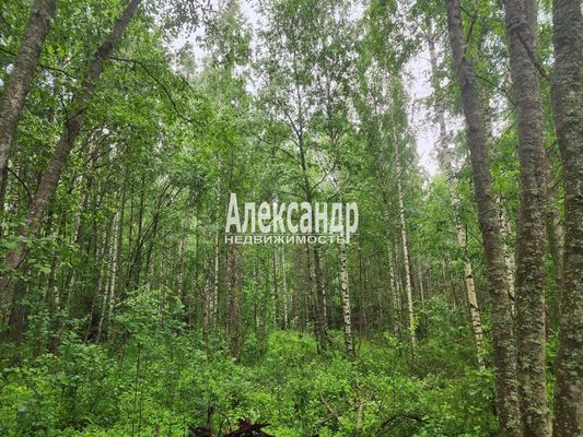 Объект по адресу Москва, Васильево д 