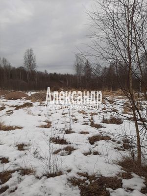 Объект по адресу Москва, Бор п 