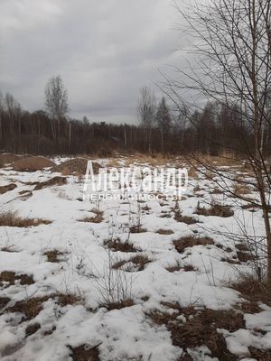 Объект по адресу Москва, Бор п 