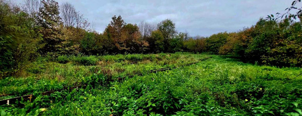 Объект по адресу Краснодарский край, Апшеронский р-н, Самурская ст-ца, Пионерская ул, д. 1