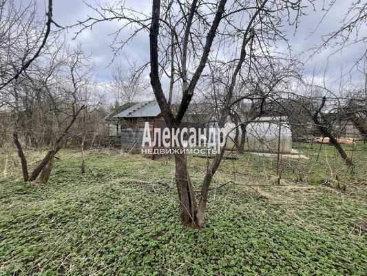 Объект по адресу Санкт-Петербург г, Пушкинская ул, д. 33