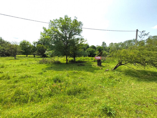 Объект по адресу Краснодарский край, Апшеронский р-н, Нефтяная ст-ца, Шоссейная ул, д. 7