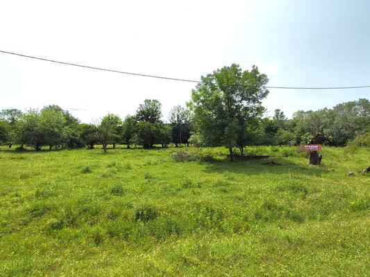 Объект по адресу Краснодарский край, Апшеронский р-н, Нефтяная ст-ца, Шоссейная ул, д. 7