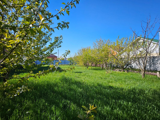 Объект по адресу Краснодарский край, Елисейская ул, д. 3