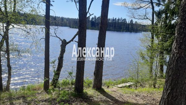 Объект по адресу Москва, Лебяжье п 