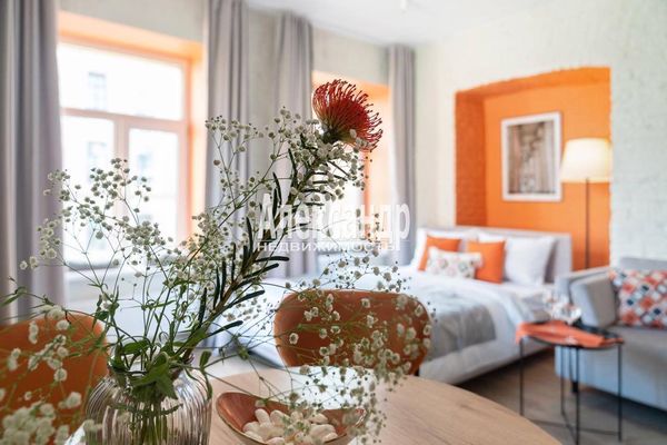 Объект по адресу Санкт-Петербург г, Маяковского ул, д. 28