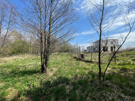 Объект по адресу Москва, Васюнино д 