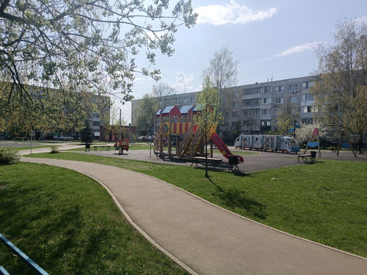 Объект по адресу Московская обл, Дружба п, Первомайская ул, д. 10