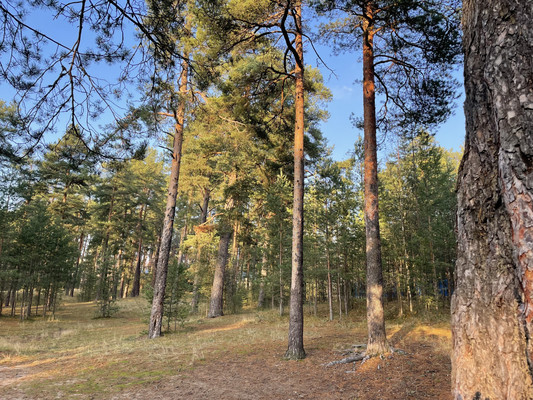 Объект по адресу Санкт-Петербург г, Репино п, Тихая ул