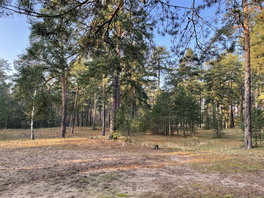 Объект по адресу Санкт-Петербург г, Репино п, Тихая ул