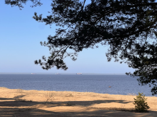 Объект по адресу Ленинградская обл, Ломоносовский р-н, Лебяжье пгт, Мира ул