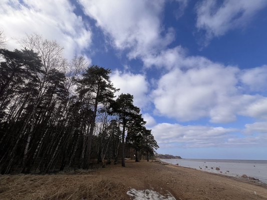 Объект по адресу Ленинградская обл, Ломоносовский р-н, Лебяжье пгт, Мира ул
