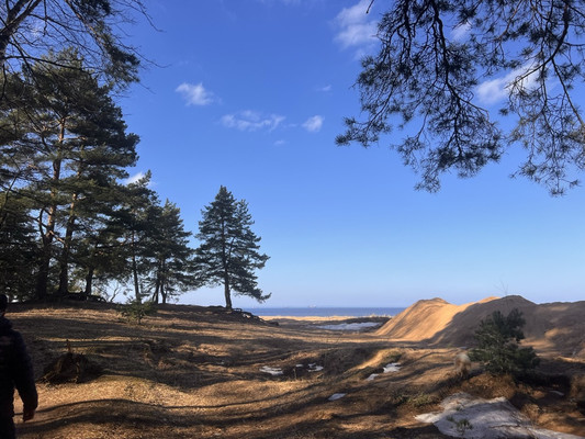 Объект по адресу Ленинградская обл, Ломоносовский р-н, Лебяжье пгт, Мира ул