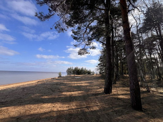 Объект по адресу Ленинградская обл, Ломоносовский р-н, Лебяжье пгт, Мира ул