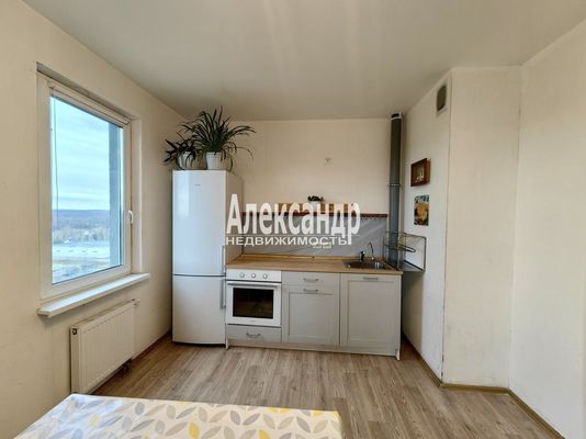 Объект по адресу Санкт-Петербург г, Муринская дор, д. 14к2