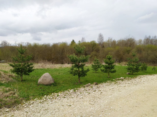 Объект по адресу Ленинградская обл, Гатчинский р-н, Покизен-Пурская д, Круговая ул, д. 9