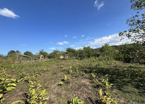 Объект по адресу Краснодарский край, Апшеронский р-н, Нефтяная ст-ца, Красная ул, д. 98