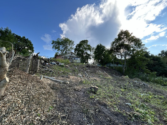 Объект по адресу Санкт-Петербург г, Дудергоф тер, Большая Горская ул, д. 3литераа