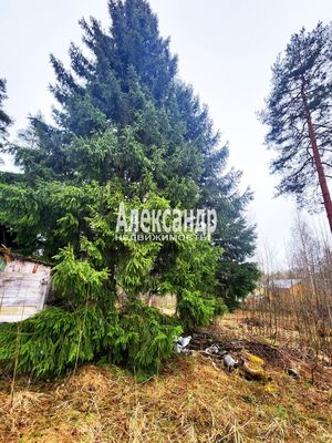 Объект по адресу Москва, Беличье п 