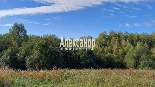 Объект по адресу Ленинградская обл, Приозерский р-н, Пятиречье п, Березовая ул