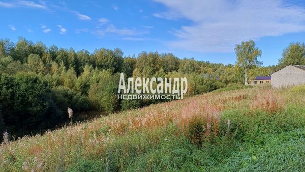 Объект по адресу Ленинградская обл, Приозерский р-н, Пятиречье п, Березовая ул